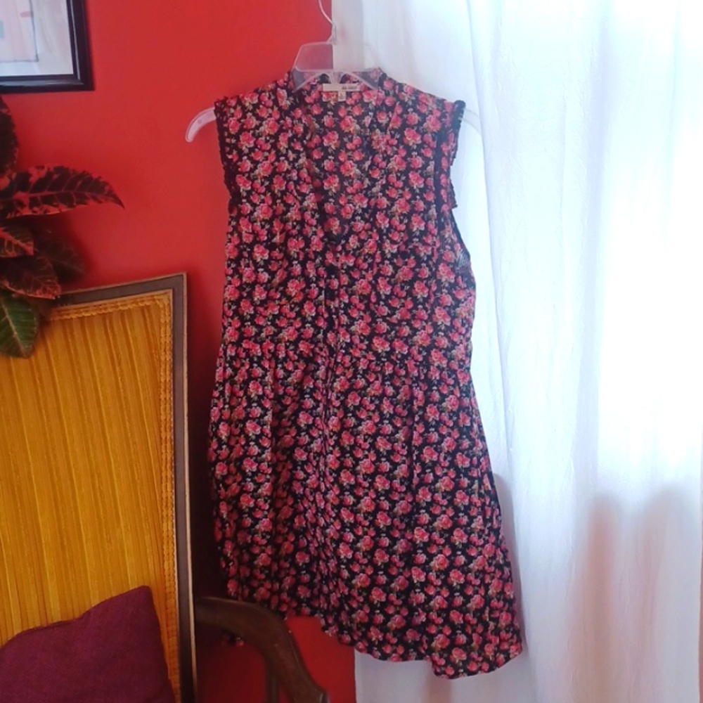 Twee Black & Red Rose Floral BeBop Mini Dress with Pockets - Large